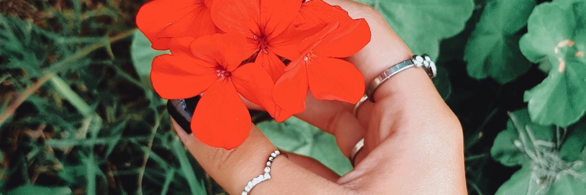 CloeAlarcon's profile banner image