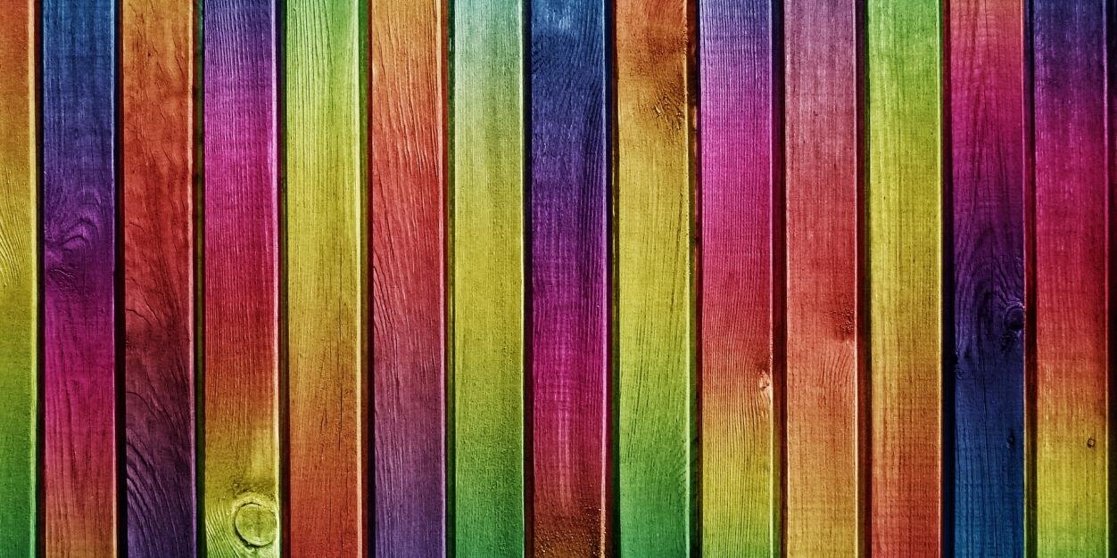 arantza sandoval banner