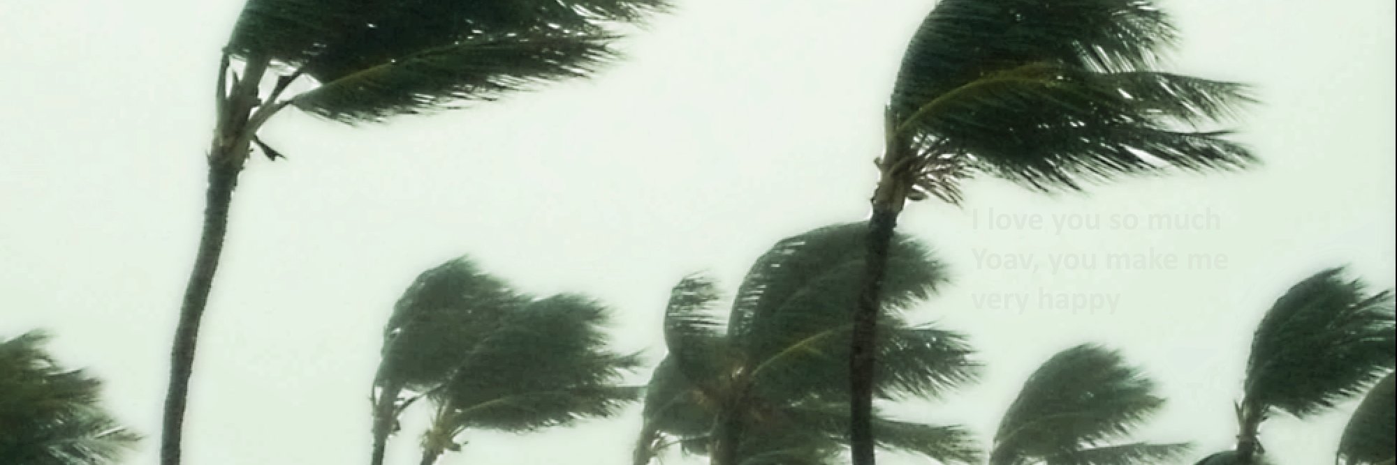 ANightOnCloud9's profile banner image