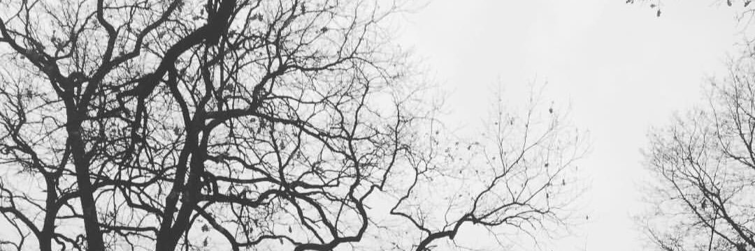 vysockayaa's profile banner image
