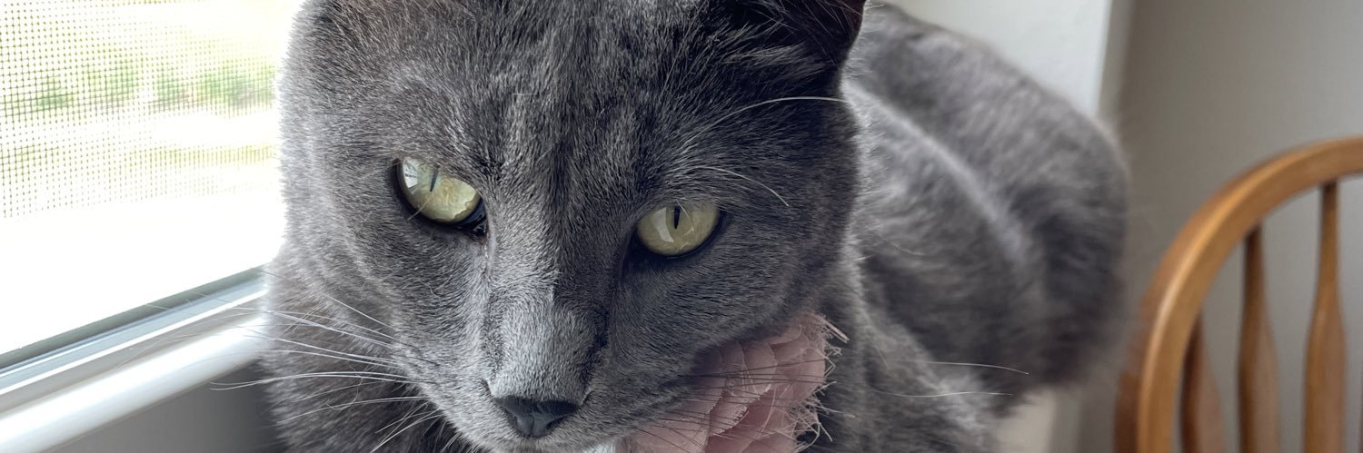 MWess55's profile banner image