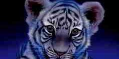 JJavier1992877's profile banner image