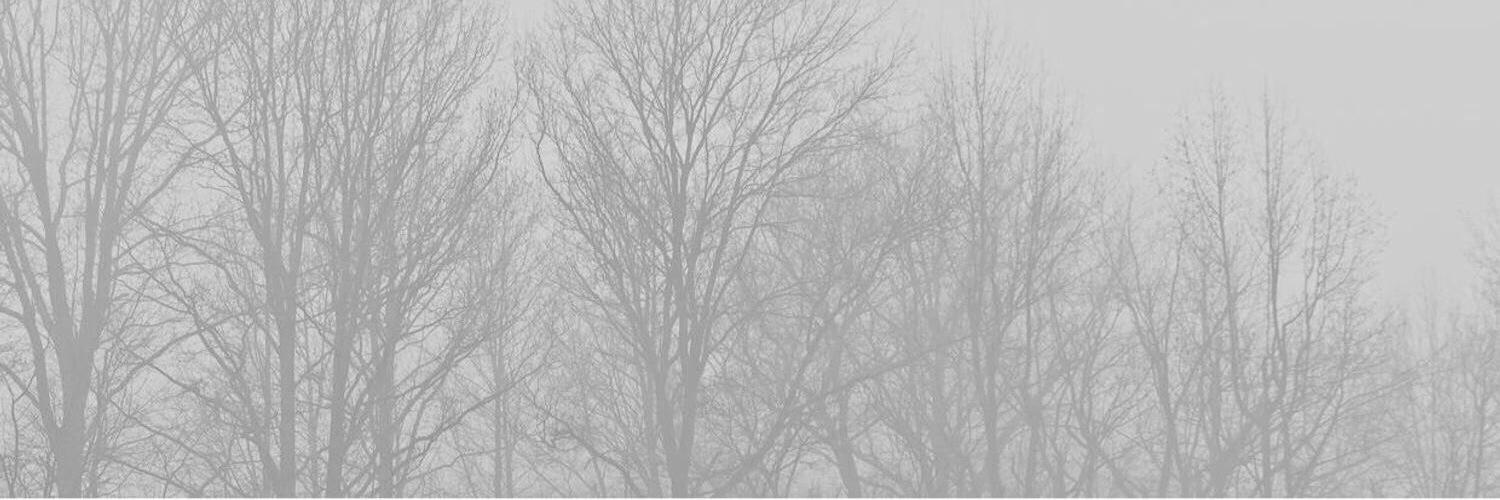 AYATOKIRlSHIMAS's profile banner image