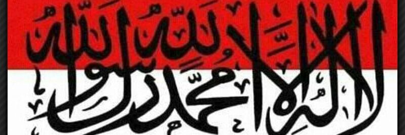 balqiszo's profile banner image