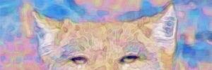 102vanilla's profile banner image