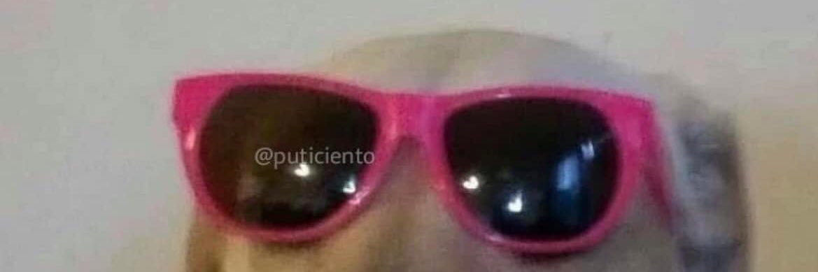 445Zamudio's profile banner image