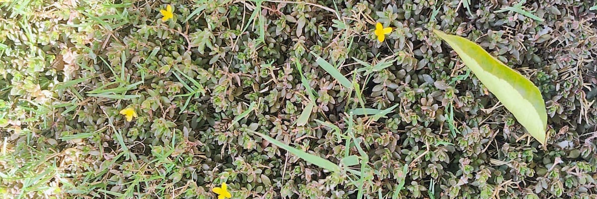 iamravidixit's profile banner image