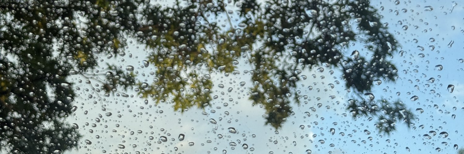 virginiatrix's profile banner image