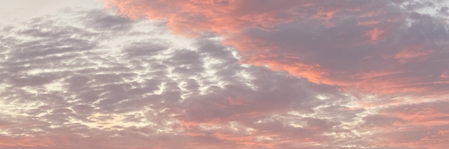 dylanvsdylan_'s profile banner image
