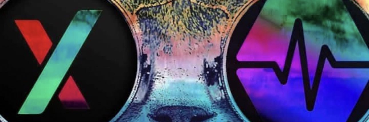 hexwin5555's profile banner image