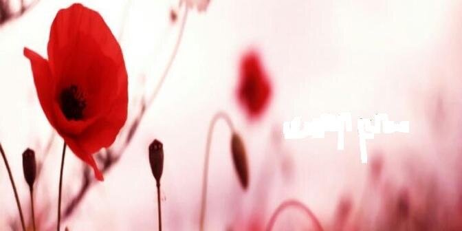 Helmalayam's profile banner image