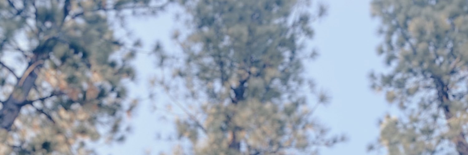 rippet03's profile banner image