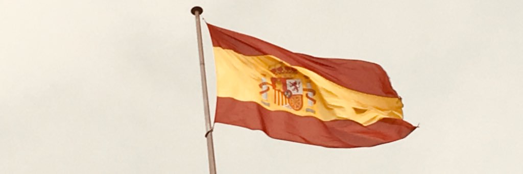 piticolesa's profile banner image