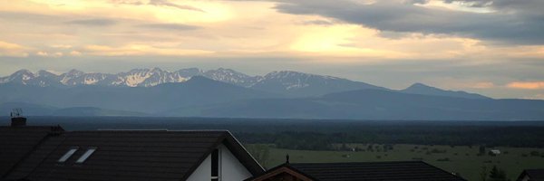 DeeOptimal Profile Banner