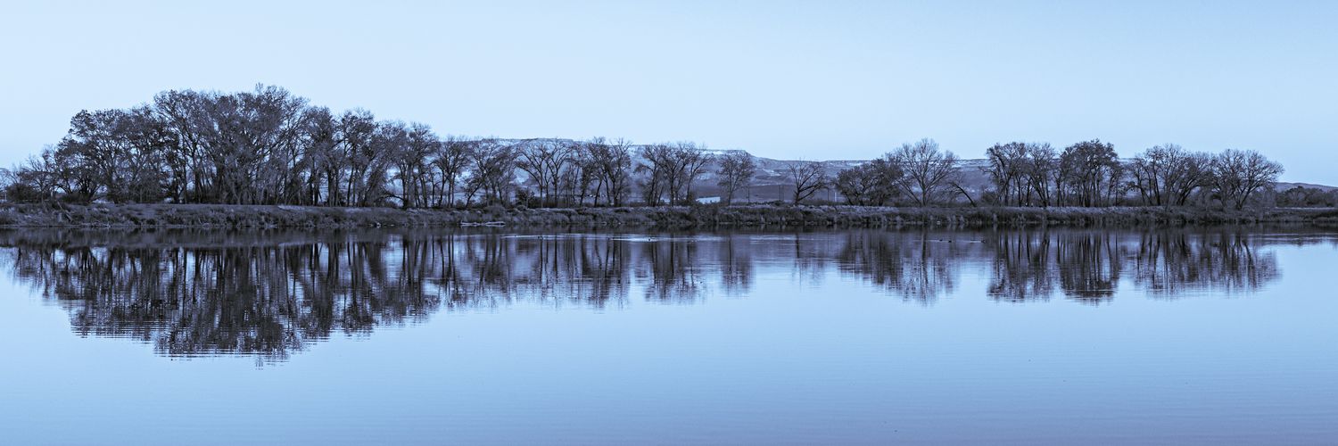 Meloche Gaming FB banner