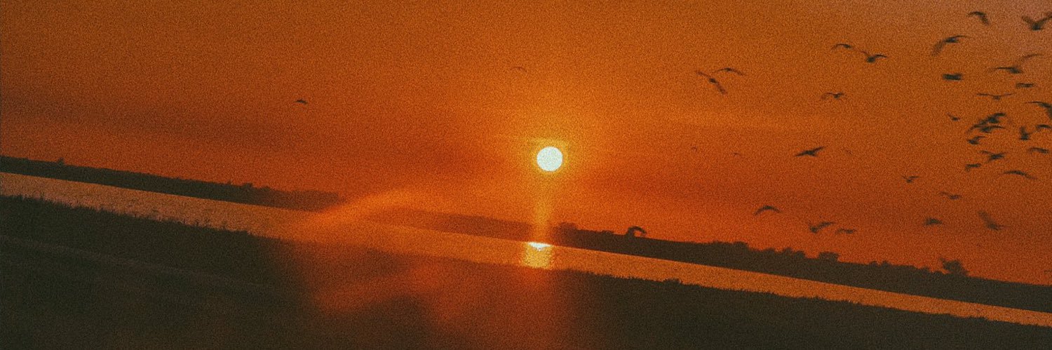 caiozunich's profile banner image