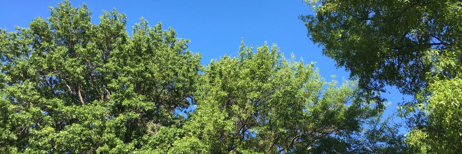 kdeutsch1's profile banner image