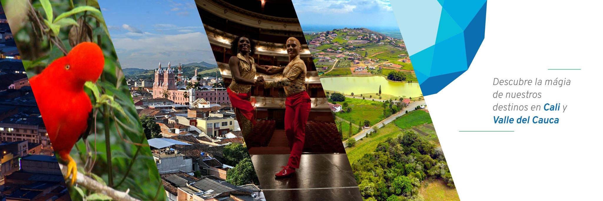 COTELCO Capítulo Valle del Cauca banner
