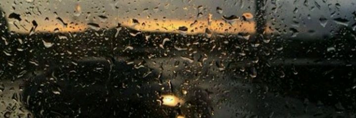 Daisy_Correa24's profile banner image