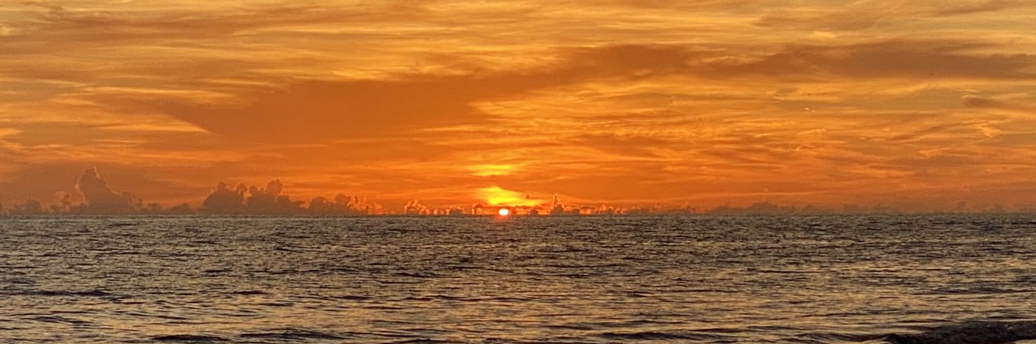 Cappy Surette banner