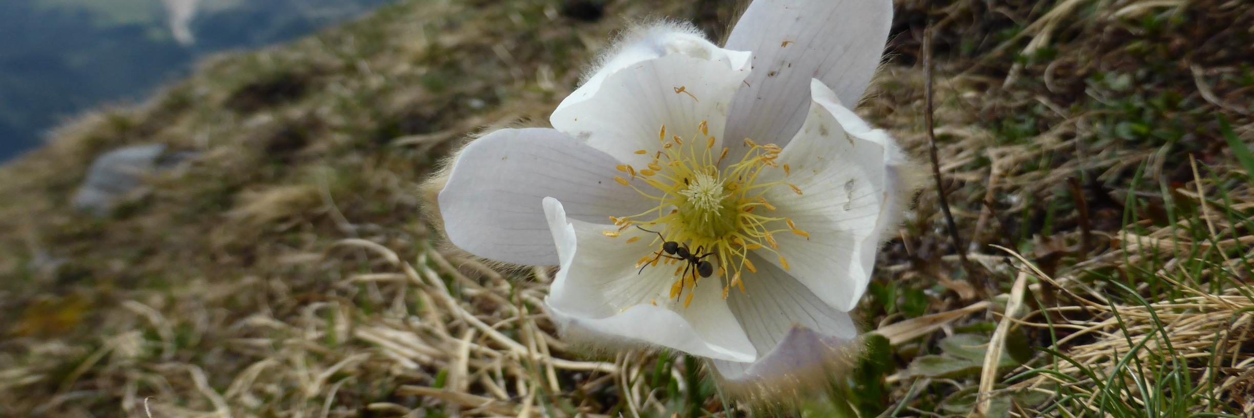 Birgit Ottmer banner