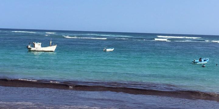 Sagal Sheikh-Ali banner