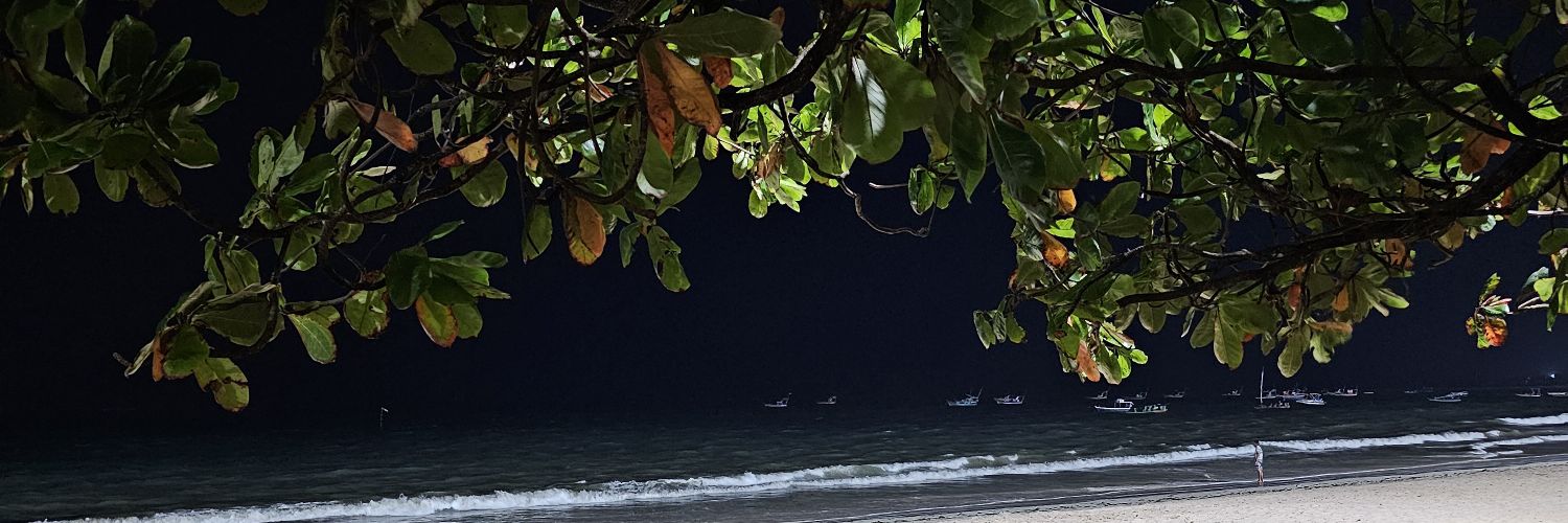 ddwgomes's profile banner image
