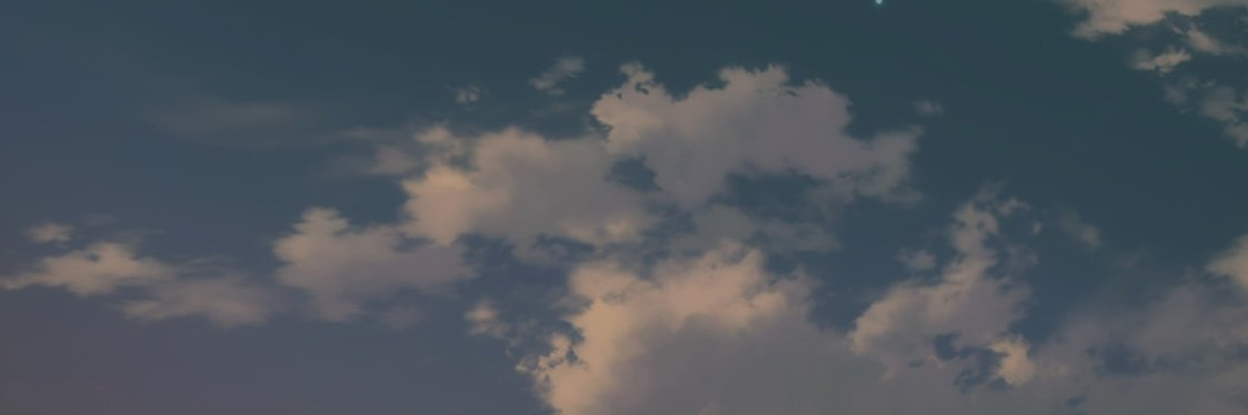 moon princess🌙 banner