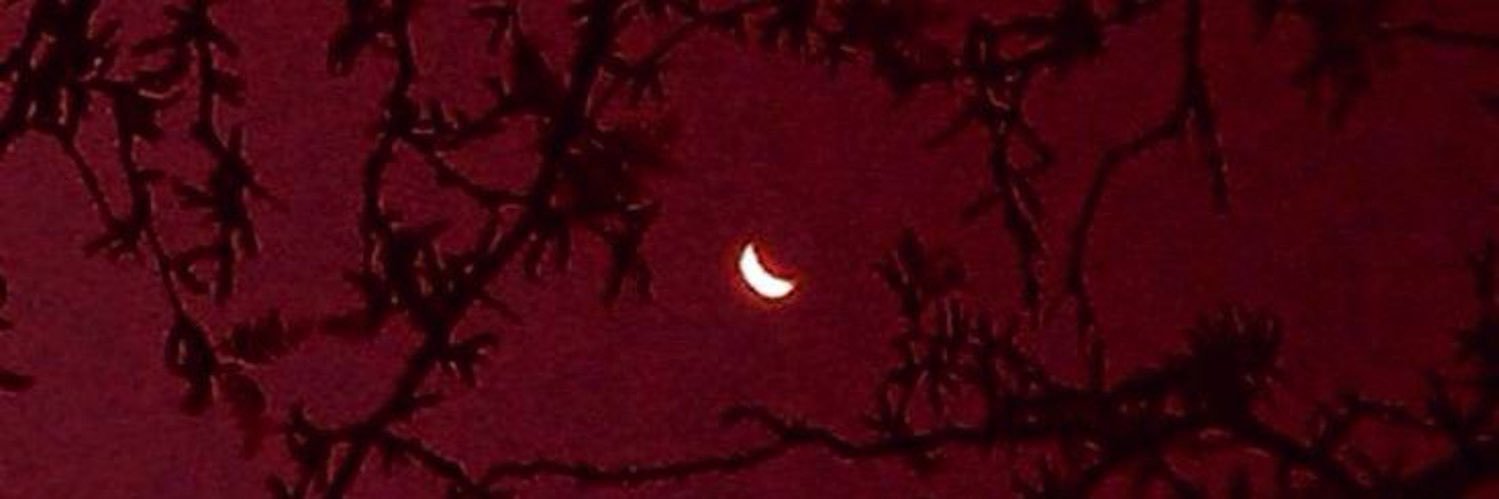 YPOROT3's profile banner image