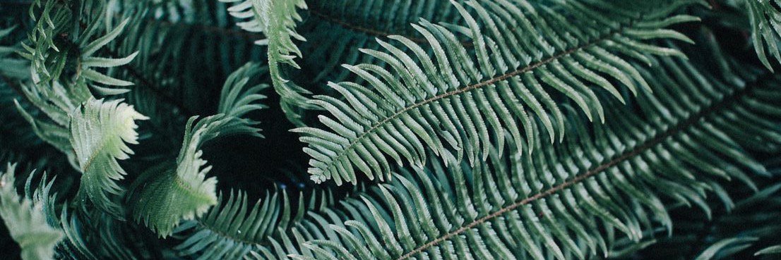 paulienriemis's profile banner image