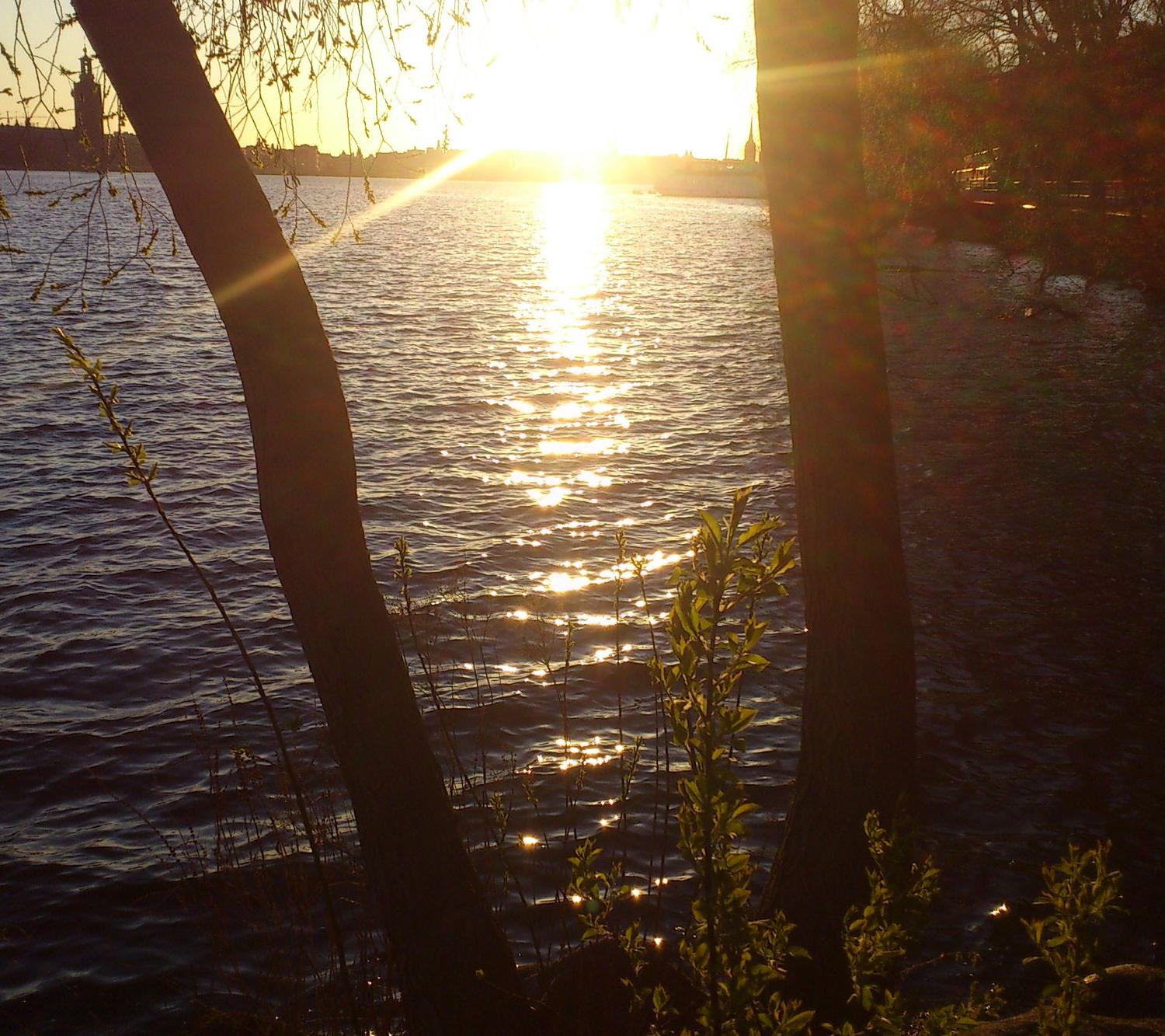 jesperlindstro5's profile banner image