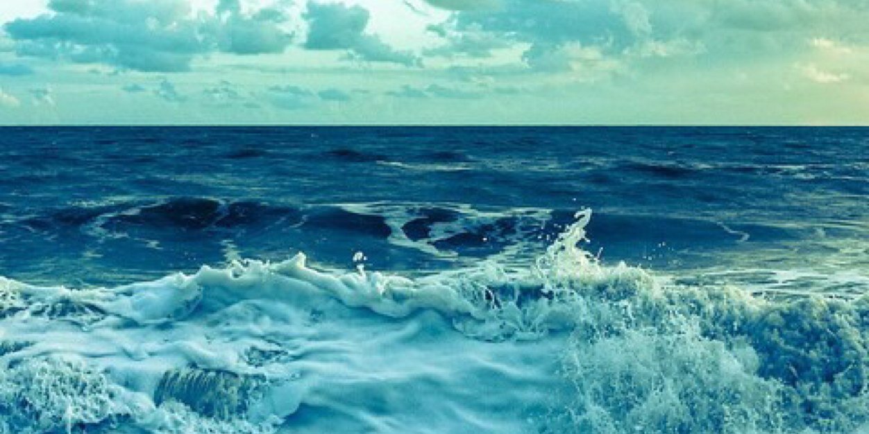 Tamar Johnson banner