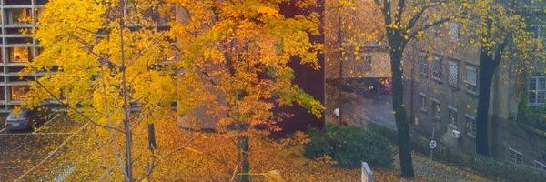 danstoyan Profile Banner