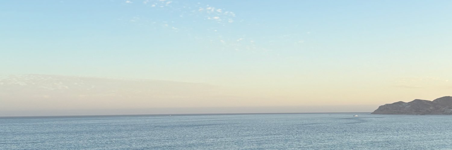 emmeicea's profile banner image
