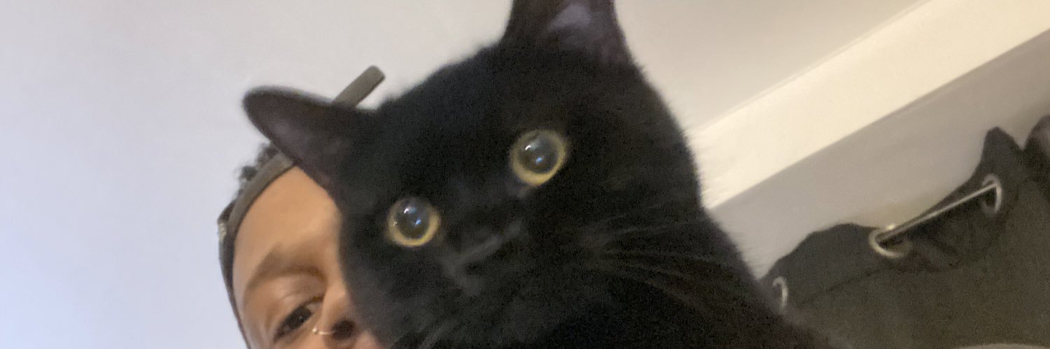 Le chat noir 🐈‍⬛ banner