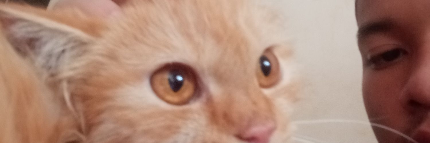 morphinevirtual's profile banner image