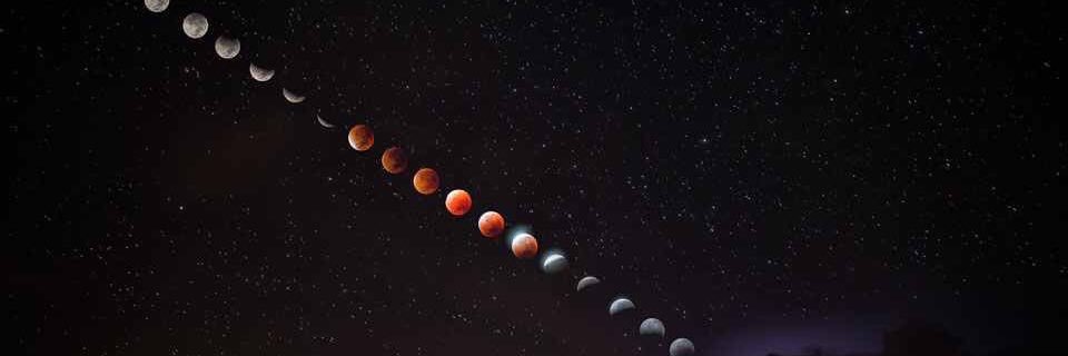 Cleanthony Early banner