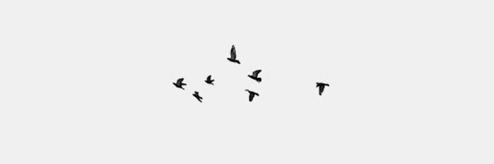 navid_JD's profile banner image