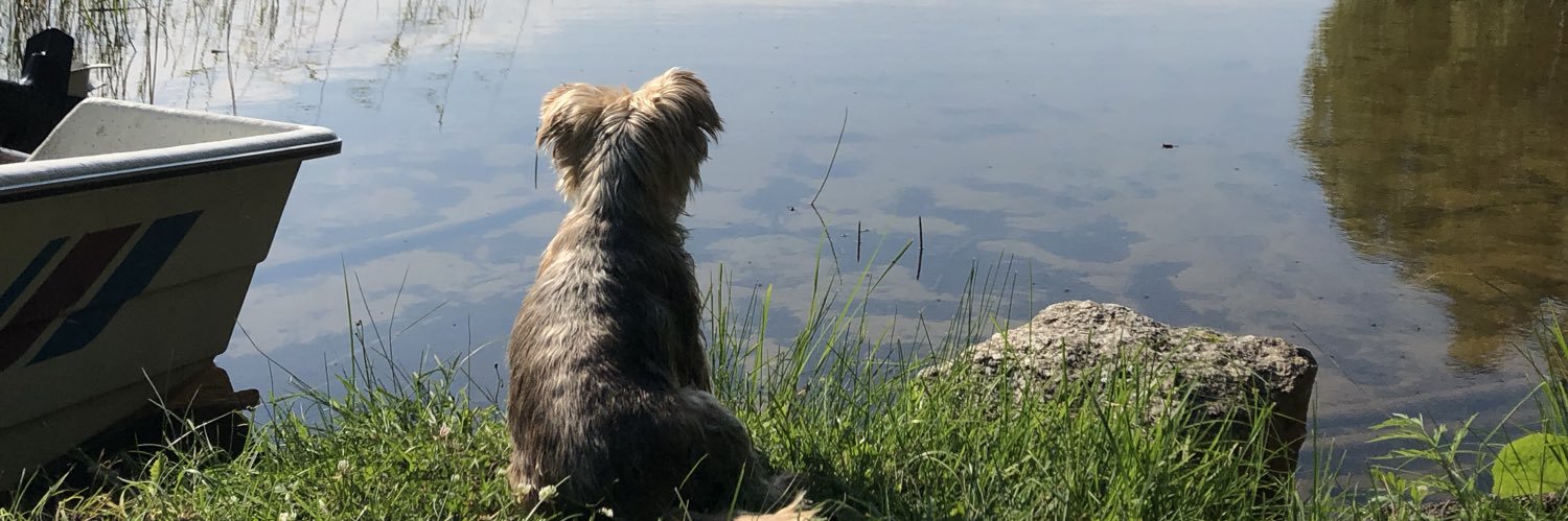 Jarkko Mäkelä banner