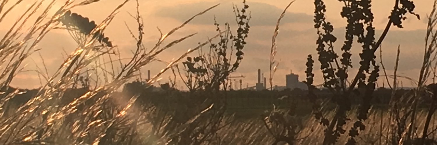 HelenVAnderson's profile banner image