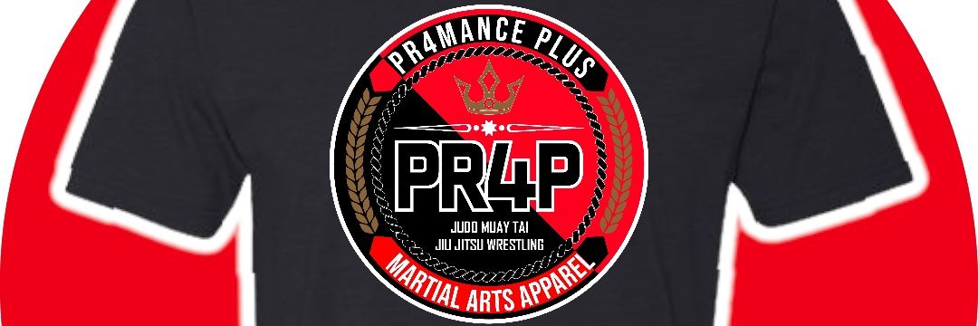Pr4manceplus's profile banner image