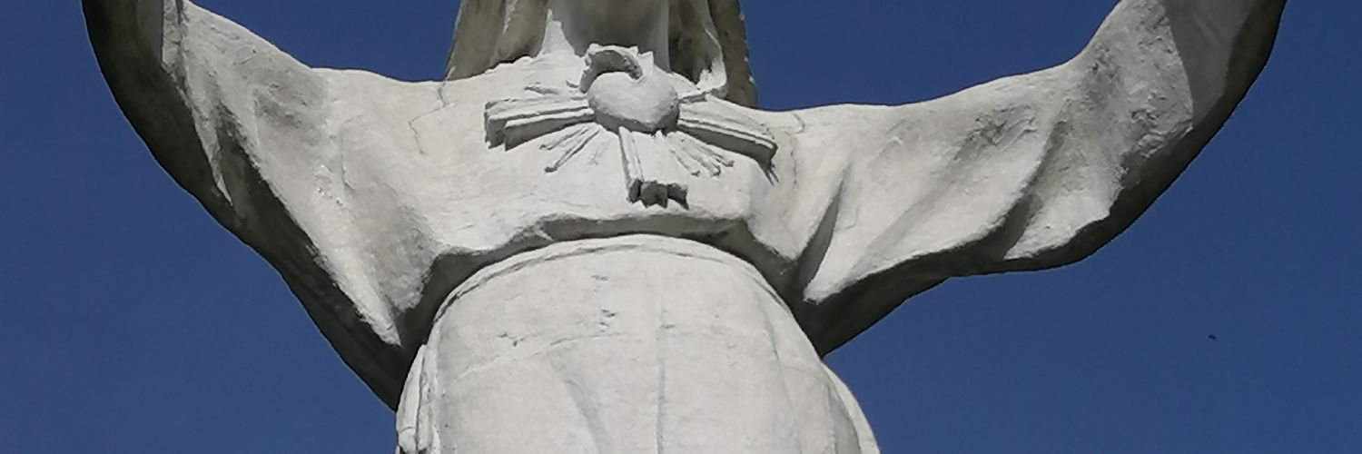 Ronny Verhoeven banner