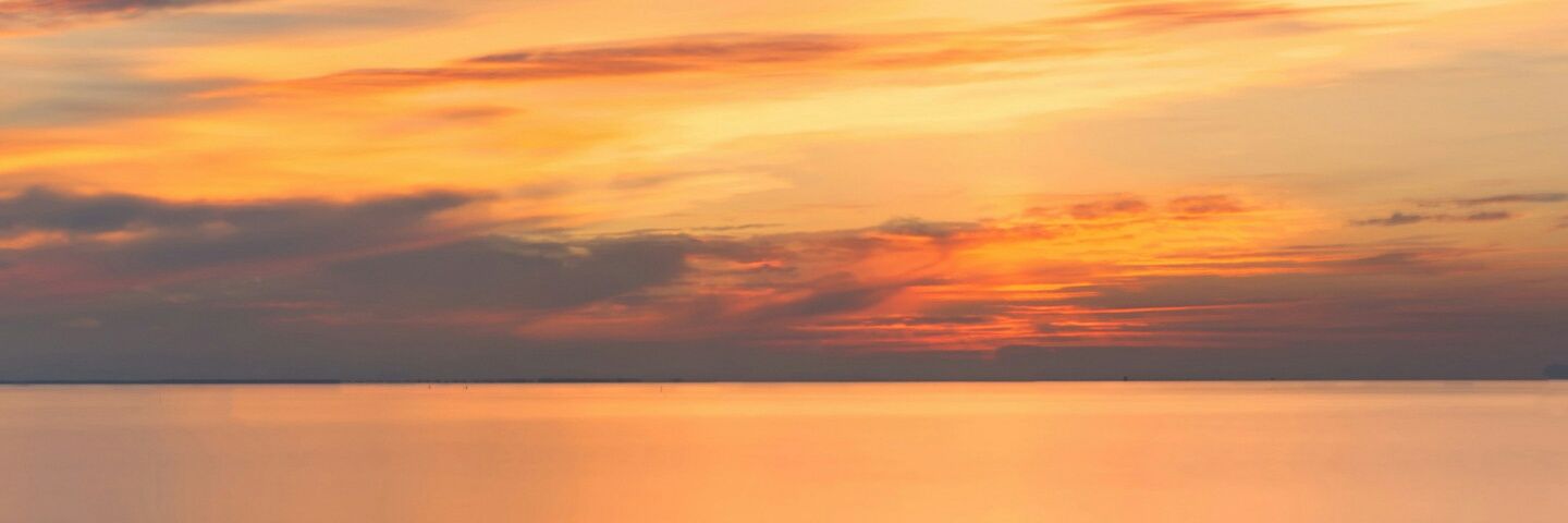 dani_vaillo's profile banner image