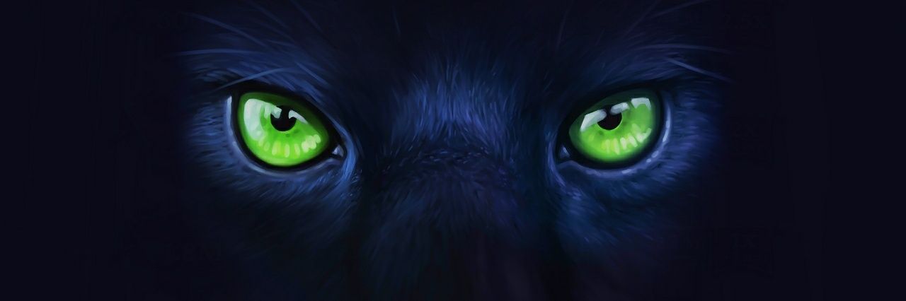 plastic75cze's profile banner image