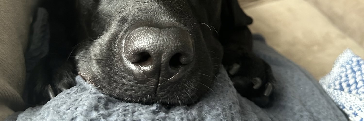 halle_ryan's profile banner image