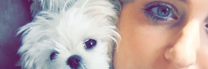 AlexTRAIN0R's profile banner image