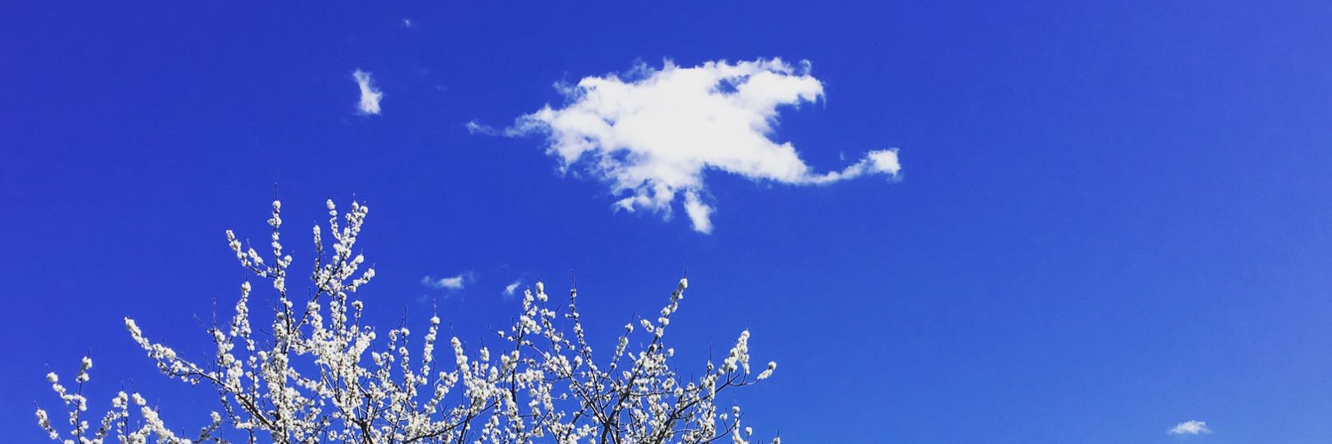 H_M_Agne's profile banner image