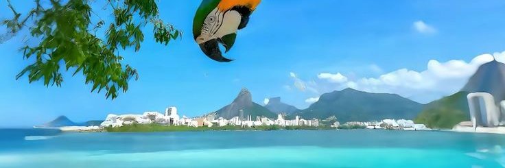 Chayzinhaex's profile banner image