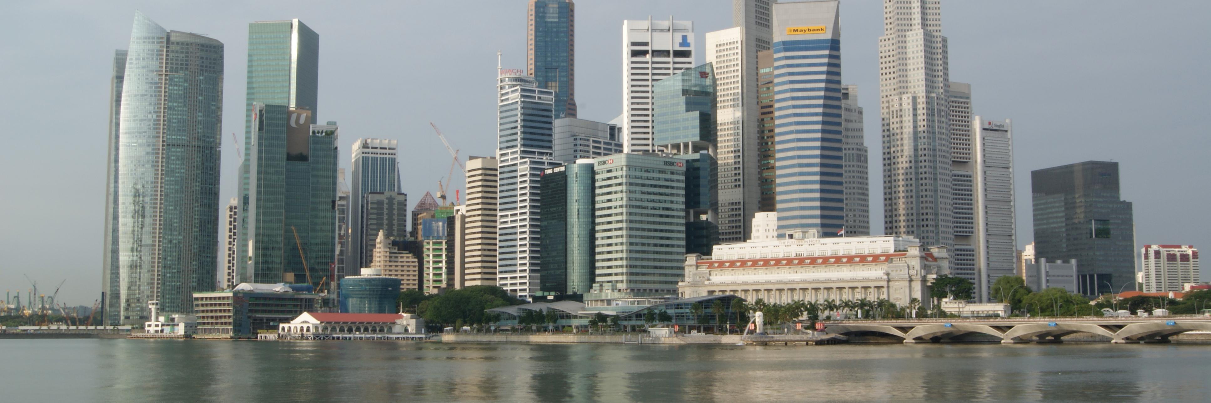 carltontansg's profile banner image