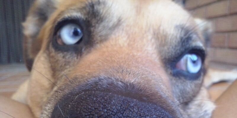 albitaa425's profile banner image
